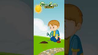 Plant Life Cycle for Kids PlantLifeCycle KidsEducation ScienceForKids EducationalVideo Kids [upl. by Mil]