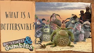 COMPILATION  What is a bottersnike  Bottersnikes and Gumbles  Cartoons for children [upl. by Malamut55]