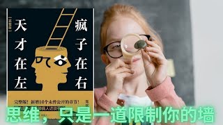 有声书《天才在左疯子在右》思维，只是一道限制你的墙你是否认同，不是我的问题，是你的问题  如果有天你看到我疯了，其实就是你疯了真理属于人类，谬误属于时代  实际上，每个人都是越来越和别人不一样 [upl. by Senhauser]