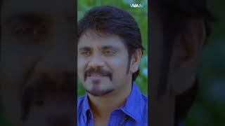 Nagarjuna Romantic Action Scene  Bhai Mera Big Brother Scene shorts [upl. by Yelak651]