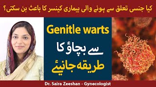 What is Genital Warts Genital Warts Symptoms amp Treatment  How to get rid of Genital Warts in Urdu [upl. by Cadmann]