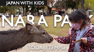 Visiting Japans Nara Park Deer and Todaiji Temple [upl. by Enelav830]