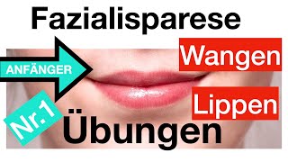 Nr1 Gesichtslähmung verbessern 4 Übungen für Lippen  Wangen Fazialisparese AnfängerDehnungen [upl. by Hertzog255]