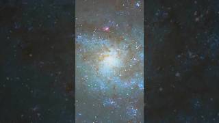 i captured triangulum Galaxy M33 from my telescope astrophotography shortsfeed youtubeshorts [upl. by Llemmart]