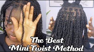 Mini Twist Tutorial  The Perfect Method for BEGINNERS  With Hair Extensions Ft QVR Hair [upl. by Asseram]