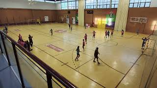 Balonmano Torredelcampo  Los Dólmenes Antequera [upl. by Yenaiv]