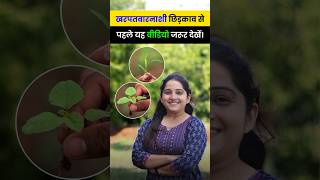 खरपतवारनाशी इस्तेमाल करने का सही तरीका🔥 herbicides agrostar farming shorts agriculture [upl. by Farris]