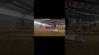 daphne does turn into thumbs sometimes tho eq equestrian pony horselover live music lyrics [upl. by Kilan87]