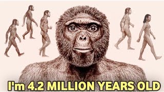 Unveiling the Ancient Human Ancestor Who Lived 44 Million Years Ago in the world 🌍 [upl. by Primalia]