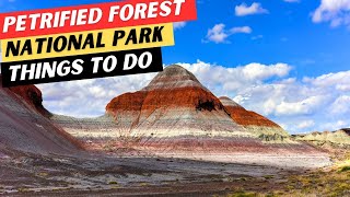 18 TOP Things To Do In Petrified Forest National Park  The MOST ESSENTIAL Tips [upl. by Atworth]