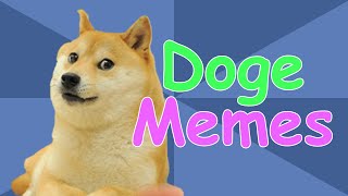 The Story of Doge How Kabosu Became the Doge Meme  Meme History [upl. by Meensat]