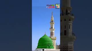 Madine se Safai nikale Hain Islam ke khatiraniskhan91786viralvideofunnyyoutubeshorts [upl. by Tega]