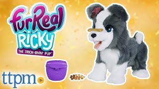 FurReal Ricky the TrickLovin Pup REVIEW  Hasbro Toys amp Games [upl. by Aleris]