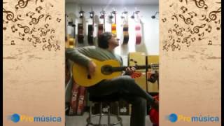 Guitarra RAIMUNDO 145 FLAMENCA [upl. by Gurevich688]