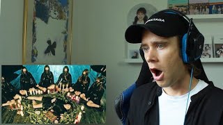 Dreamcatcher – MEGA REACTION 8 MVs [upl. by Nuahsel40]