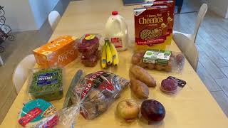 Frugal Grocery Haul and Weekly Meal Plan [upl. by Ydnas]