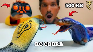 Rc Snake King Cobra amp Anaconda Unboxing [upl. by Nileuqcaj210]