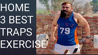 Home 3 Best Traps Exercises malikumarawanfitnees [upl. by Anauqaj]