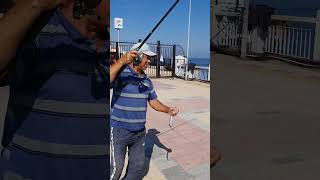 Zargana kuyruğu ile zargana çekiyor çekiyor fishing balıkavı fish balık zargana [upl. by Pavel]