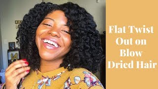 Flat Twist Out  On Blow Dried Hair [upl. by Ferreby]