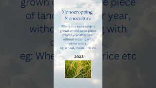 monoculture agriculture education shortsfeed [upl. by Robins135]