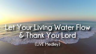 Vinesong  Let Your Living Water Flow  Thank You Lord Original Version w Lyrics [upl. by Anidnamra748]