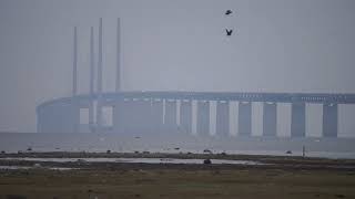 Malmö Shots  The Öresund Bridge [upl. by Martinez577]