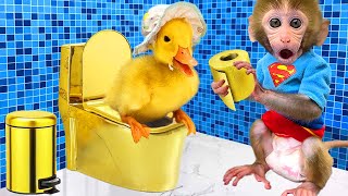 Bebe Mono BonBon Va A La Bañera De Oro Y Nada Con El Patito Lindo  MONO BONBON ESP [upl. by Nnylav]