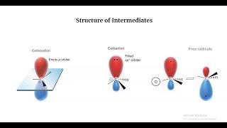 Carbocations Carbanions and Free Radicals [upl. by Nomal]