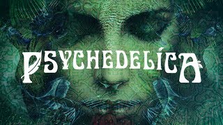 Psychedelics and Consciousness [upl. by Cammie734]