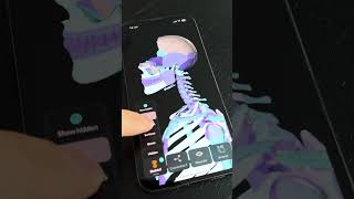 🧠 The most accurate model of the human body  Easy Anatomy 3D App [upl. by Batty]