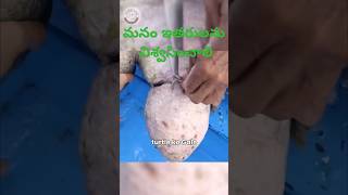 pets doglover youtubeviral love telugushorts telugucomedy srikakulam vishakapatnam china [upl. by Midge]