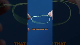 How To Tie a UNI KNOT fishing fishingknot uniknot [upl. by Janessa]