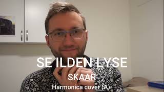 Se ilden lyse  SKAAR  Harmonica Cover [upl. by Ronyam]