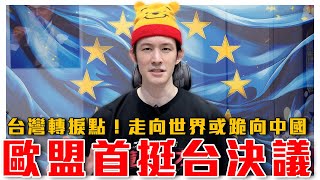 歐盟力挺台！稱台灣不屬於中共！後悔當年讓中共進聯合國｜台灣正在歷史轉捩點，內部一方想走向世界，一方想跪向中國｜粉紅特報100期 [upl. by Silda285]