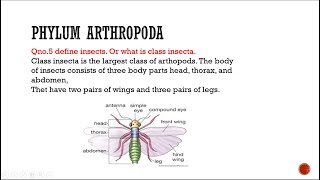 Phylum Arthropda class insecta biology entomology zoology [upl. by Harwell]