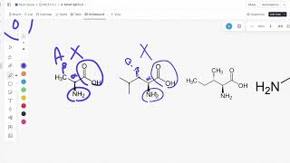 AAMC OFFICIAL FL5 Free Scored Practice BB Discrete Questions 1114 Explanations [upl. by Nairad156]