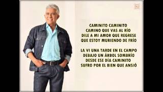 Reynaldo Armas  Lucerito con letra [upl. by Barhos]