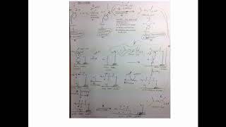 CORSO DI BIOCHIMICA  LEZIONE 35 DI 47  BIOSINTESI DEGLI ACIDI GRASSI  PARTE 3 [upl. by Nyleve]