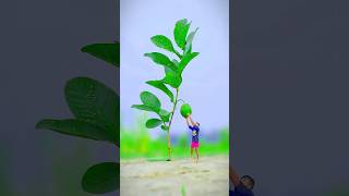 Creative videography funny shortvideo cidbangla [upl. by Aim]