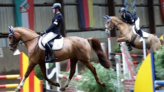 Reitabzeichen Prüfung für die nächste Leistungsklasse  Lehrgang im Reitsportzentrum Brundiers [upl. by Jaye359]