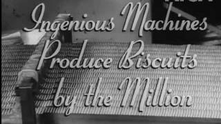 Ingenious Machines Produce Biscuits By The Million Australian Diary 46 [upl. by Noside]