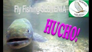 HuchoHucho Fishing  Slovenia [upl. by Chrisy]