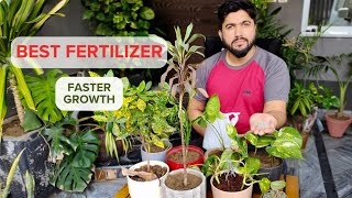 Best fertilizer My Fertilizer Routine for Growthplants garden indoorplants home gardening [upl. by Llewol]