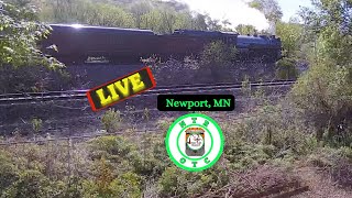 Newport MN Cam LIVE NOW  CPKC River Sub  Northern Transcon Railcams  MP 4025 BNSF MP 4222 [upl. by Vilberg395]