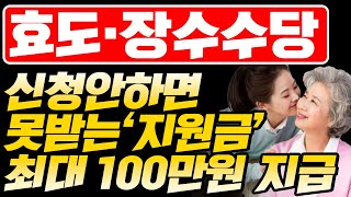 효도수당·장수수당 최대 100만원 현금지급 신청안하면 못받는 지원금 지자체 지원금 정부24 신청하는 방법 확인하세요 [upl. by Millard]