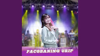 Pacobaning Urip [upl. by Norihs145]