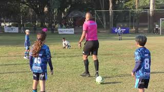 Semi Final IberCup 2024 Palmeiras x Águas Claras [upl. by Dall]