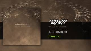 Psilocybe Project  Determinism [upl. by Ordnael906]