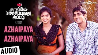 Kadhalil Sodhapuvadhu Yeppadi  Azhaipaya Azhaipaya Song  Siddarth Amala Paul  Thaman S [upl. by Navaj]